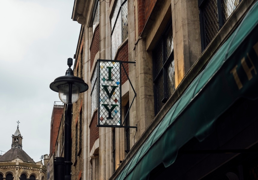 The Ivy