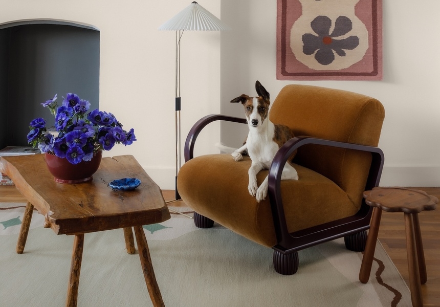 Courtesy of Shame Studios / Nat Aubry Photography