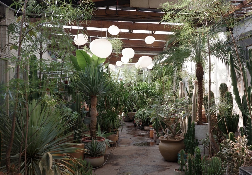 Conservatory Archives
