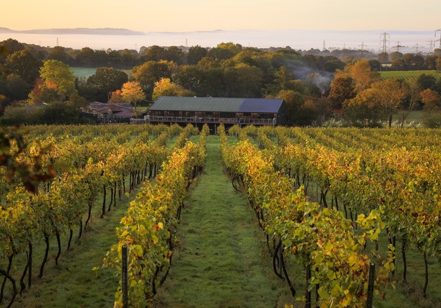Bolney Wine Estate
