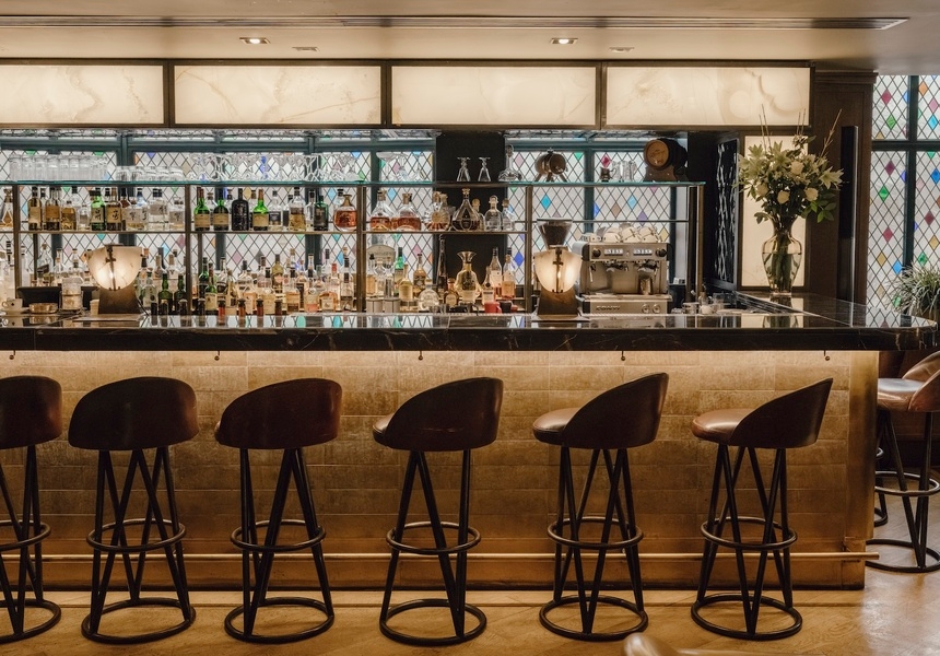 The Ivy