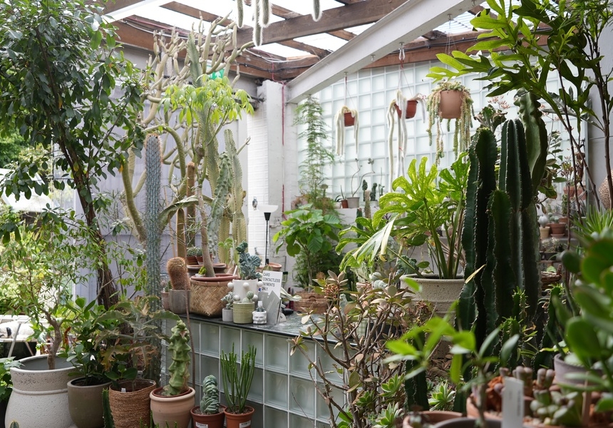 Conservatory Archives