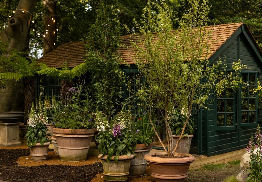 Petersham Nurseries