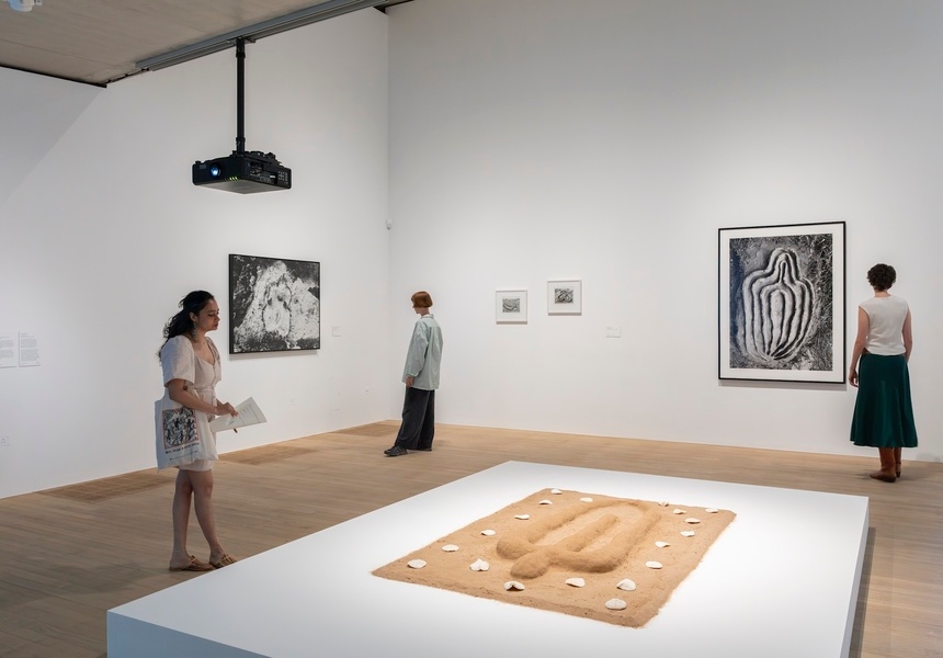 Ana Mendieta installation view