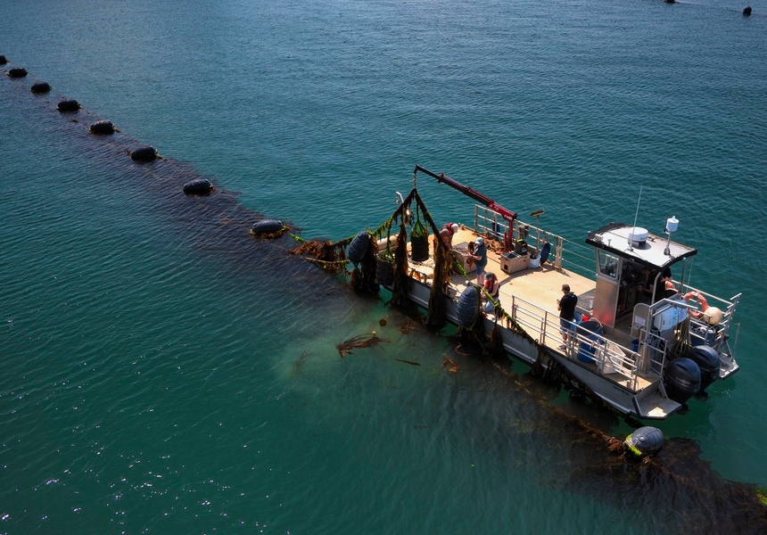 Photo: courtesy of Câr-y-Môr