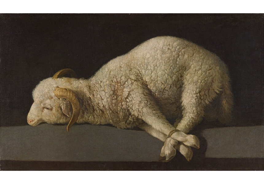 Francisco de Zurbarán, Agnus Dei, 1635 – 1640. Museo Nacional del Prado, Madrid. © Photographic Archive Museo Nacional del Prado.