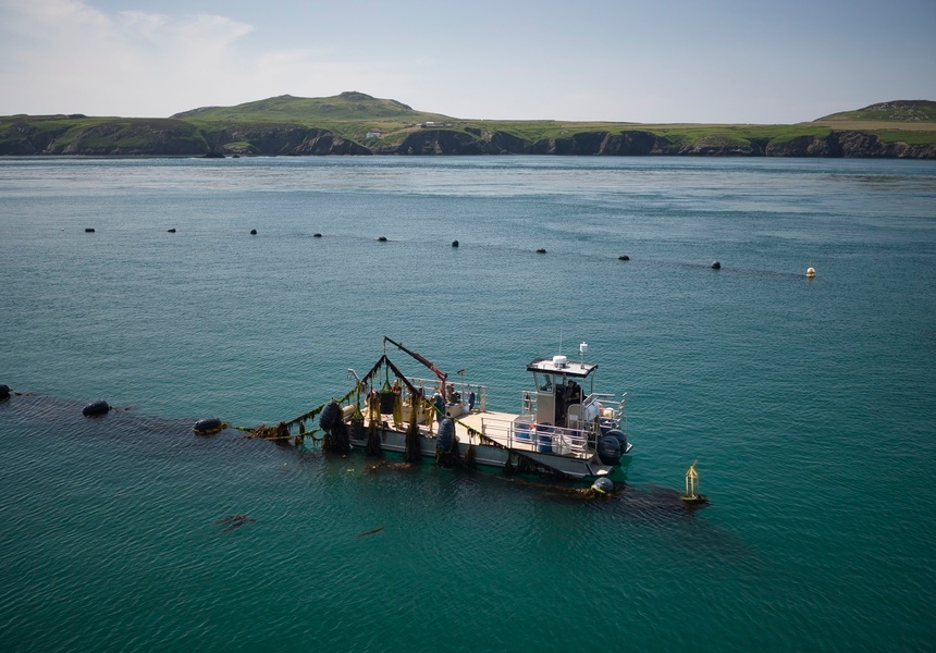 Photo: courtesy of Câr-y-Môr