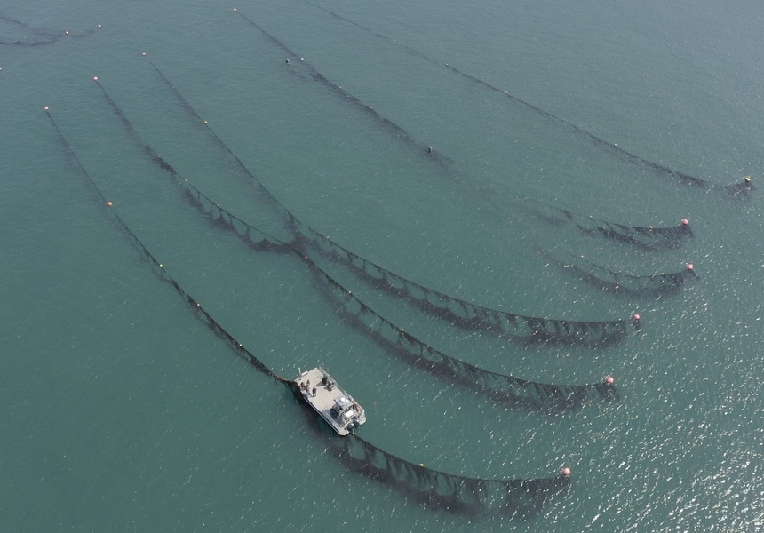 Photo: courtesy of Câr-y-Môr