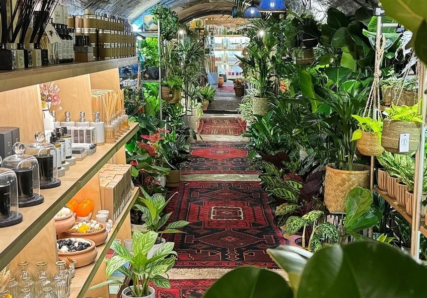 The Nunhead Gardener