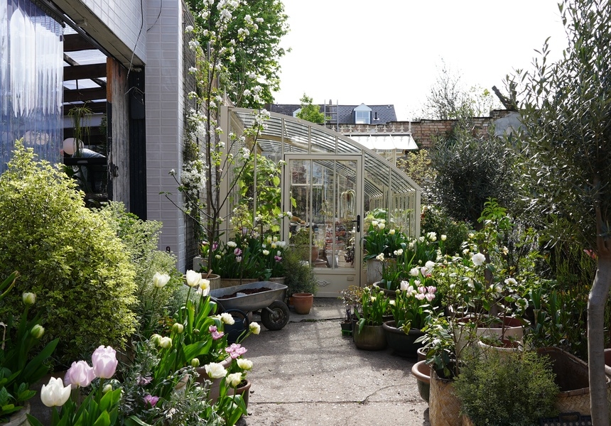 Conservatory Archives